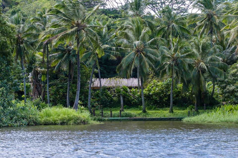 From Oahu: Kauai Waimea Canyon & Wailua River Tour - Value check: flights included, but lunch is on you