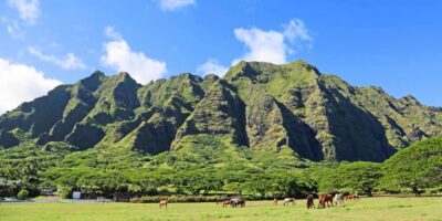 From Waikiki: Circle Island Tour - Price and value: is $156 a fair deal for 9 hours?