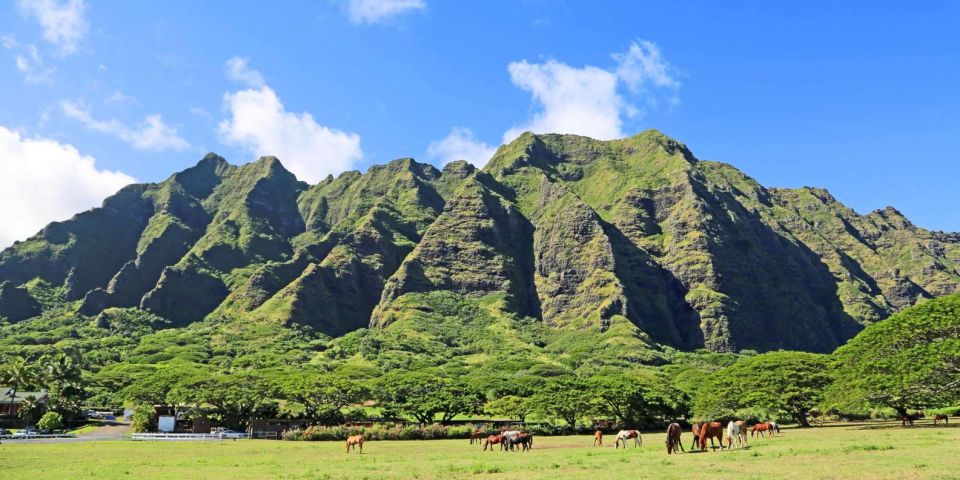 From Waikiki: Circle Island Tour - Price and value: is $156 a fair deal for 9 hours?