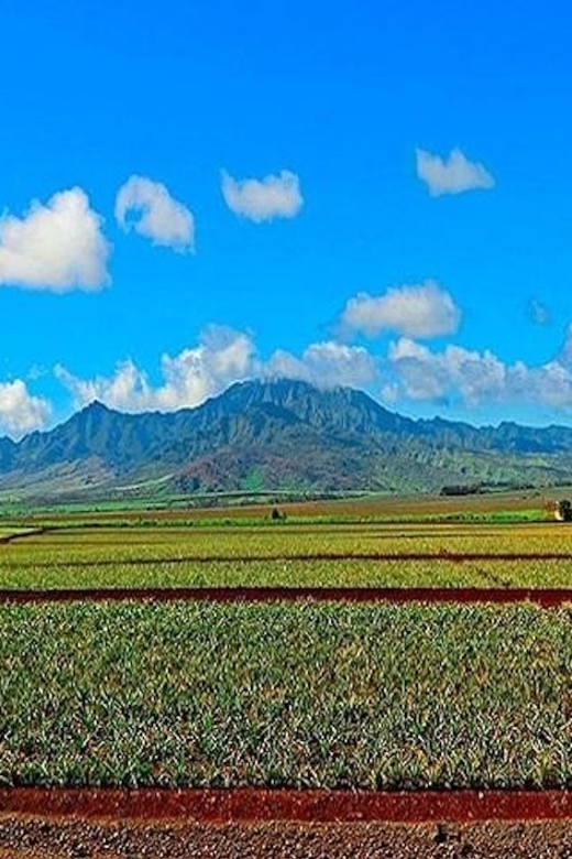 From Waikiki: Oahu Grand Circle Island Experience - Makapuʻu lookout, Waimanalo break, and the Kualoa picture stops