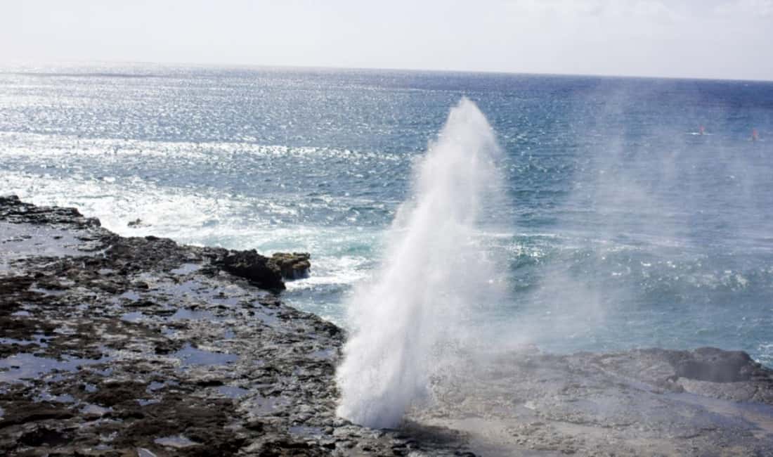 From Waikiki: Oahu Scenic Half-Day Circle Island Tour - A smart half-day route when you only have a morning (or two)