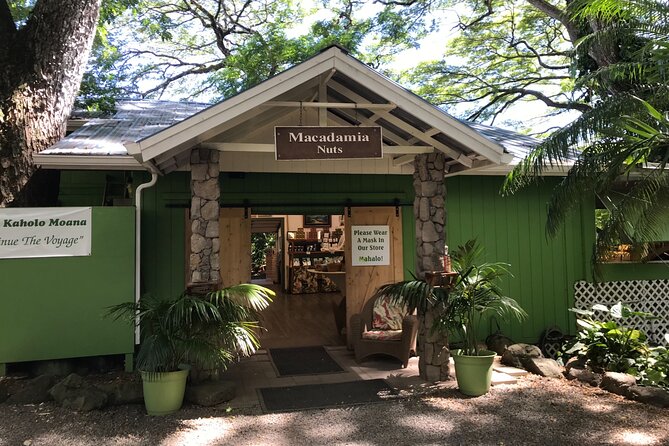 Full-Day Circle Island Guided Tour of Oahu - Halona Blowhole and Makapu‘u Point: photo stops with natural drama
