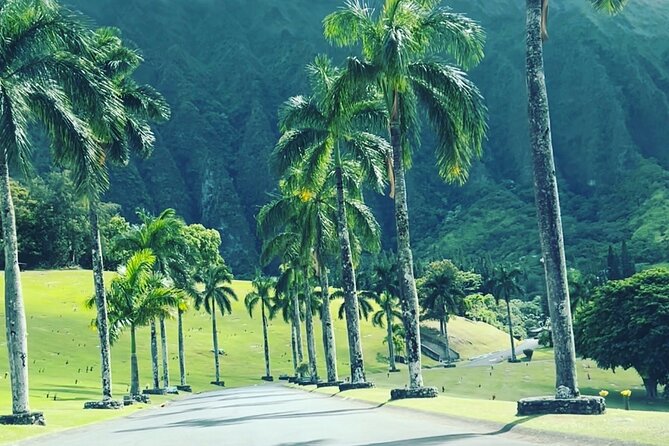 Full-Day Circle Island Guided Tour of Oahu - The Luau viewpoint: tying your next night to today’s drive