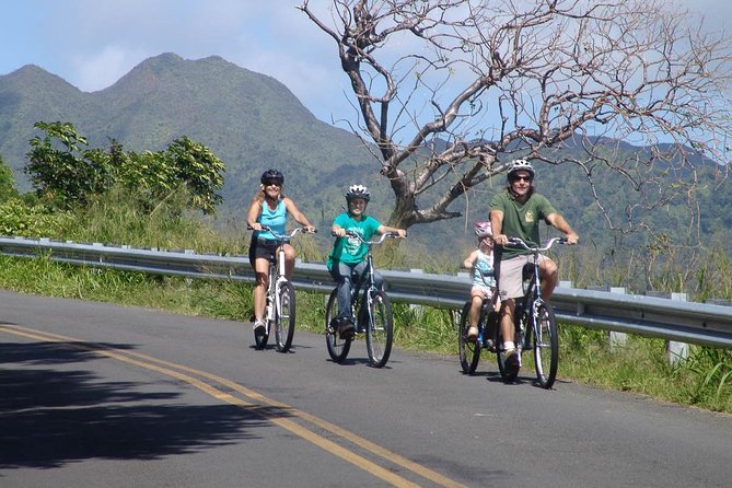 Full Day Oahu Bike, Hike, Sail and Snorkel Combo - Rainforest hike: 2 miles of guided history and waterfall vibes