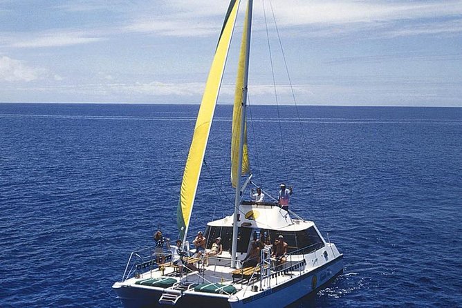Full Day Oahu Bike, Hike, Sail and Snorkel Combo - Should you book this Oahu bike, hike, sail and snorkel tour?