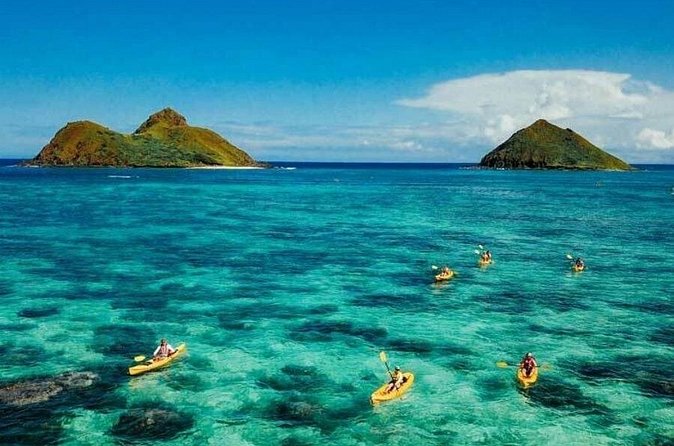 Full-Day Tour to Kailua Hawaii with Return Trip Shuttle - Van Comfort, Group Size, and Why CJ Gets Mentioned So Often