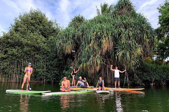 Group Stand Up Paddle Lesson and Tour - Entering The Water: Haleiwa Bay and the Anahulu Stream