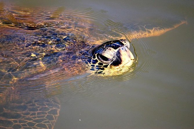 Group Stand Up Paddle Lesson and Tour - Guides, Safety Gear, and Why the Small Group Matters