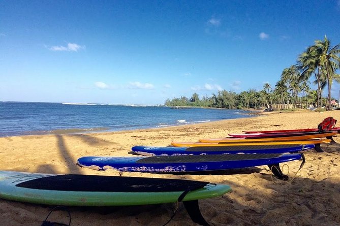 Group Stand Up Paddle Lesson and Tour - Learning Hawaiian Nature and Haleiwa Town Beyond the Water