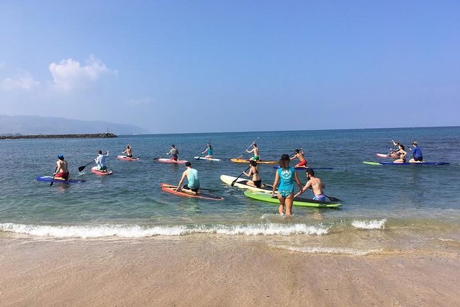 Group Stand Up Paddle Lesson and Tour - Paddle Route: Haleiwa Bay Practice, Anahulu Stream Curiosity, Turtle Time