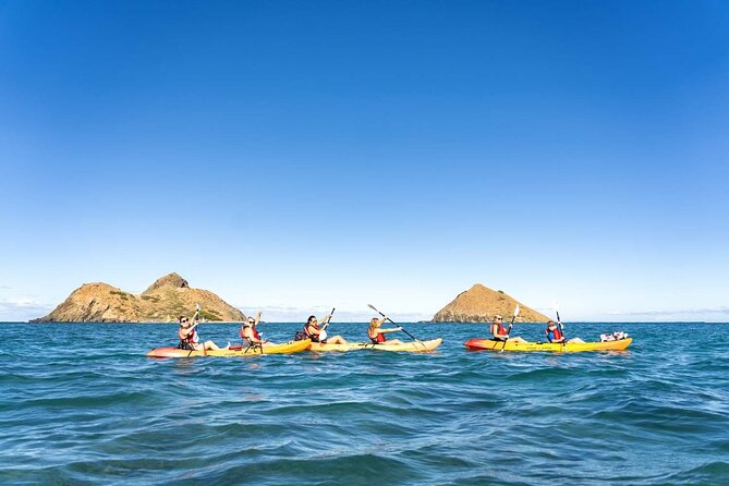 Guided E-Bike and Kayak Tour to Mokulua Islands in Kailua, Oahu - Popoia Island perimeter walk: break from paddling, focus on birds