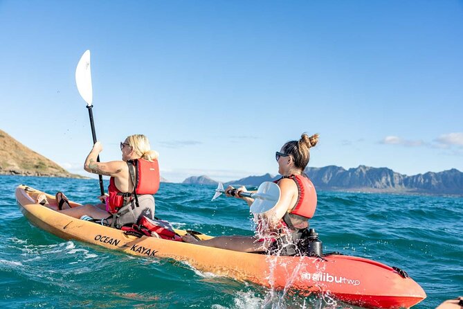 Guided E-Bike and Kayak Tour to Mokulua Islands in Kailua, Oahu - Getting back: paddling returns and the last beach-to-bike link