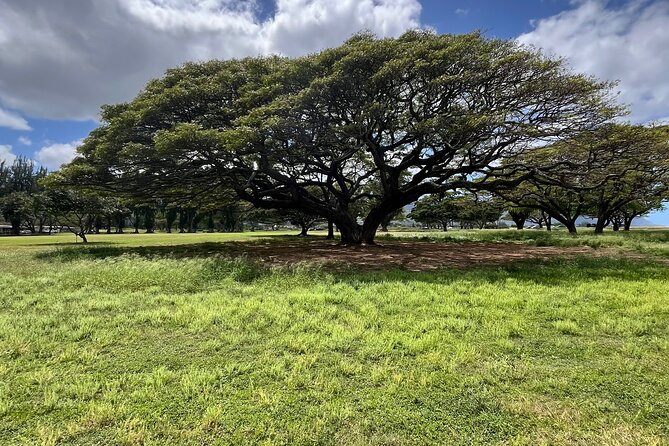 Guided E-Bike Tour in North Shore - Grace’s small-group approach: facts, friendliness, and safety