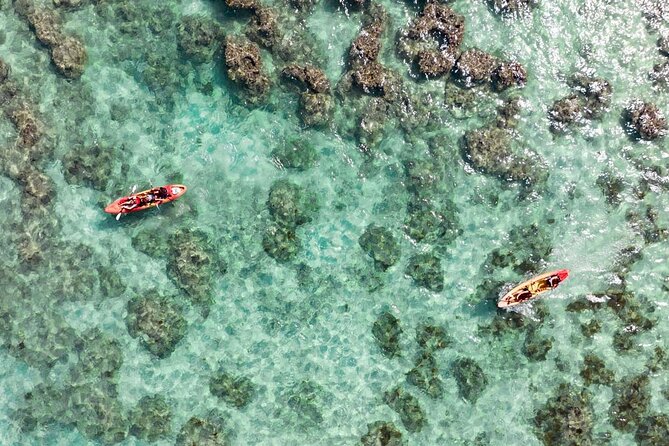 Guided Kayak Tour to Kailua’s Twin Islands - Price and what $219 buys you in Kailua