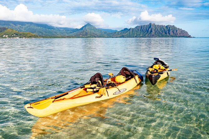 Half-Day Kaneohe Bay Sandbar Self-Guided Kayaking Experience - The Sandbar Time: White Sand, Seclusion, and a Turtle Moment