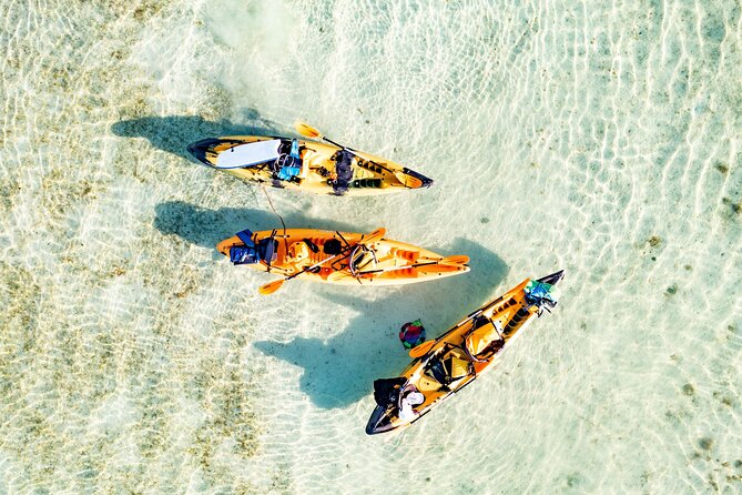 Half-Day Kaneohe Bay Sandbar Self-Guided Kayaking Experience - Kayaks, Snorkel Gear, and the “Included” Stuff That Saves You Money