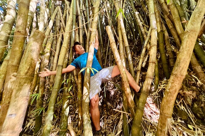 Half-Day Waterfall Tour - Hike, Scenic, Food and Photo - A Small Group Hike That Feels Like Finding Your Own Waterfall