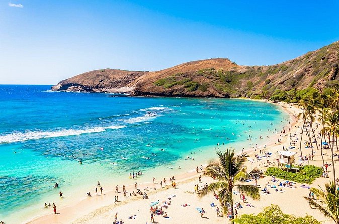Hanauma Bay Experience with Admission Ticket and Equipment - Meeting Point Reality: Where You Start and How to Use It