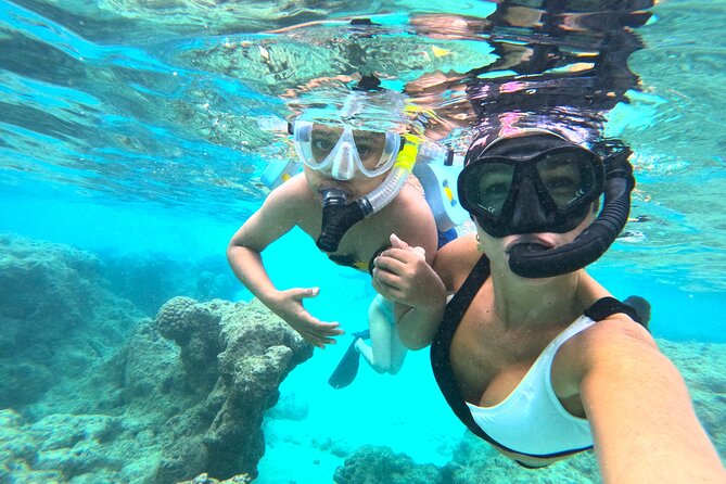 Hanauma Bay Guided Snorkel Tour (with guaranteed entrance time) - Meeting at the entrance: how you start the day without chaos