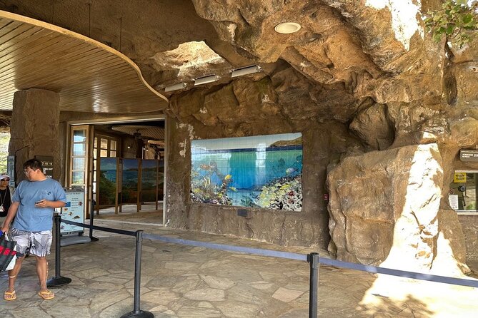 Hanauma Bay Snorkel Lesson - Pricing and booking timing: Getting the best value
