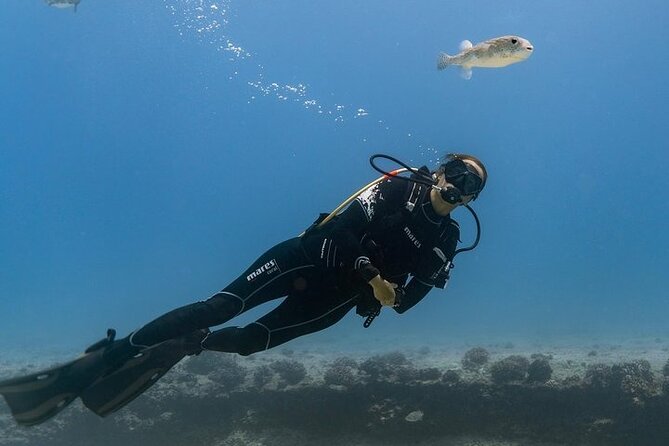 Hawaii DISCOVER Beginner + Certified 2 Tank Shallow Scuba Diving - Key Points I’d Prioritize Before Booking