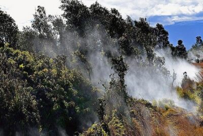 Hawaii Volcanoes National Park Experience Departing from Oahu - Greenwell Farms: Kona coffee with real volcanic context