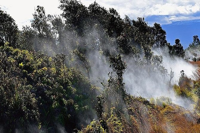 Hawaii Volcanoes National Park Experience from Oahu - Hawaii Volcanoes National Park: Halemaʻumaʻu, Kīlauea Iki, lava tube, and steam