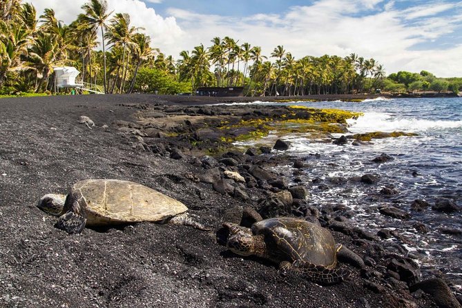 Hawaii Volcanoes National Park Experience From the Big Island - Key things I’d circle before you book