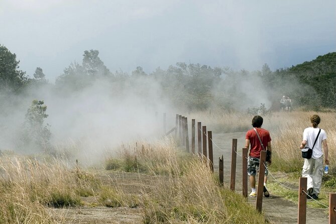 Hawaii Volcanoes National Park Experience From the Big Island - Manuka State Wayside Park: a quiet nature reset