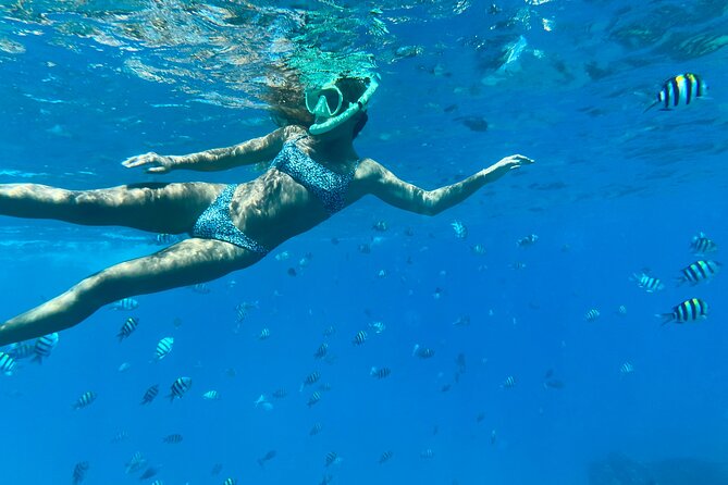 Hawaiian Culture & Snorkel Adventure with Photo/Videos - Key highlights to know before you go