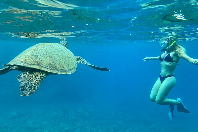 Hawaiian Culture & Snorkel Adventure with Photo/Videos - Your pre-water game plan: gear fit and safety talk