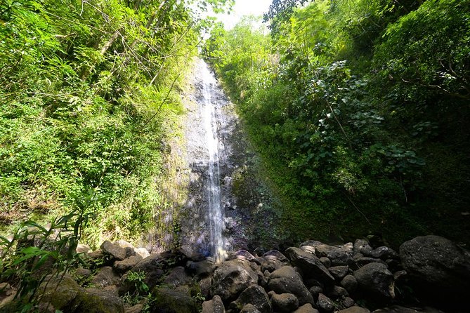 Hawaiian Waterfall Hike - Key things I’d watch for