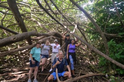 Hawaiian Waterfall Hike - Getting there: Waikiki pickup, timing, and meeting options