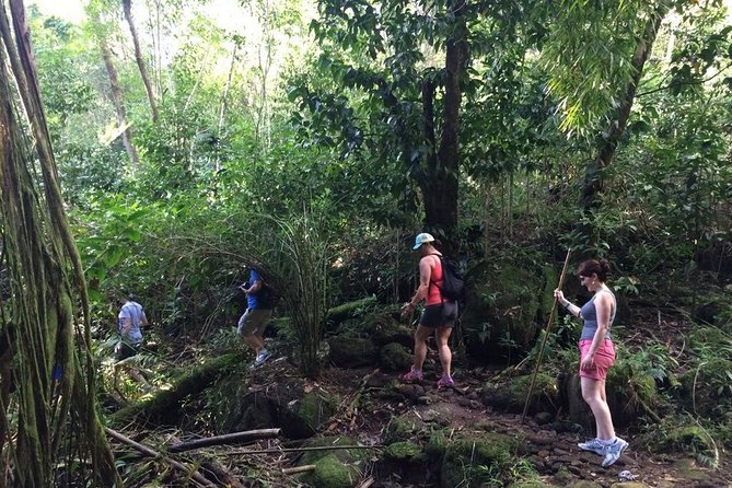 Hawaiian Waterfall Hike - The waterfall moment: why the 150-foot cascade isn’t always guaranteed