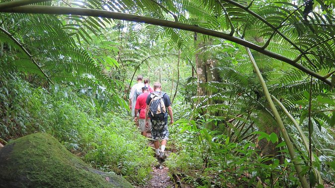 Hawaiian Waterfall Hike - Value check: is ~$101 per person worth it?