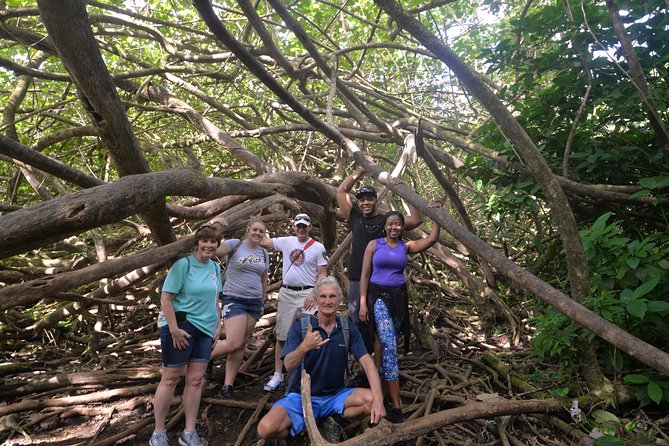 Hawaiian Waterfall Hike - Getting there: Waikiki pickup, timing, and meeting options