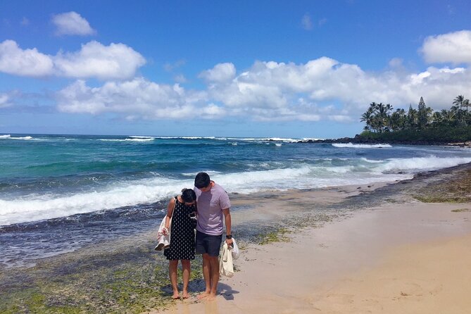 Hawaii's Best Private Build-Your-Tour Charter Service - Private charter in Honolulu: what the build-your-tour format really means