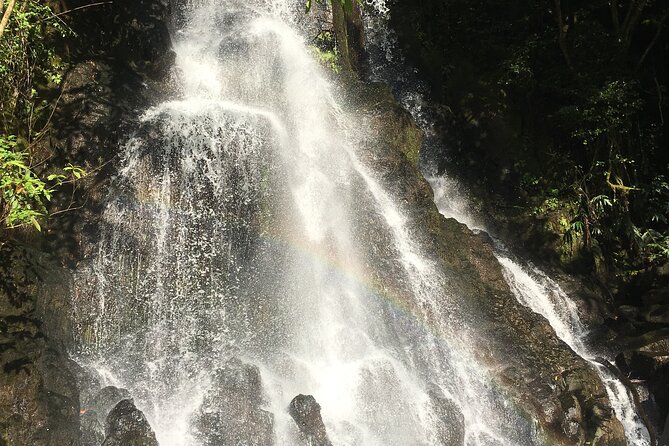 Hidden Hawaii Tours - The “Guide Makes It” Factor (Morgan and Jonathan)