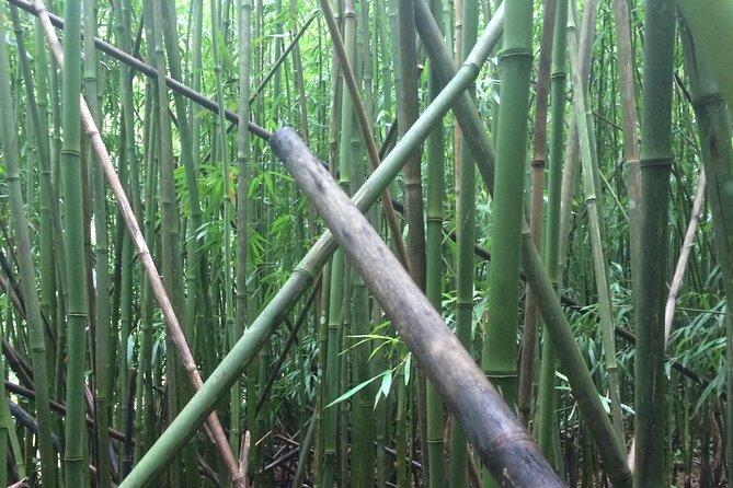 Hidden Hawaii Tours - Weather, Shoes, and Small Prep That Changes Everything