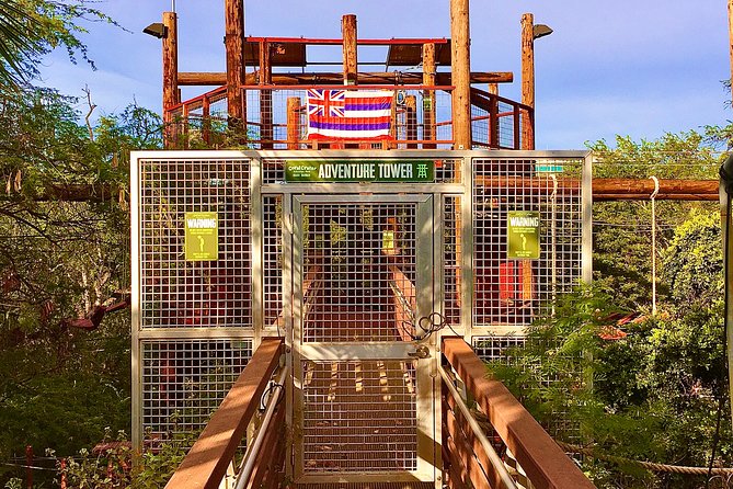 High Ropes Adventure Course at Coral Crater - Who This Course Is Best For (and Who Might Rethink It)