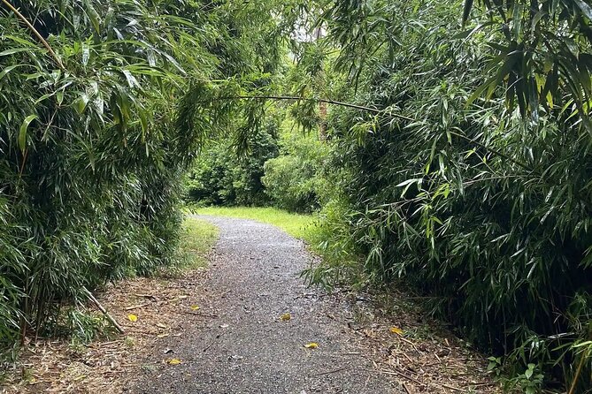 Hike to a Tropical Waterfall - pick up included - What to wear and bring when the trail gets muddy