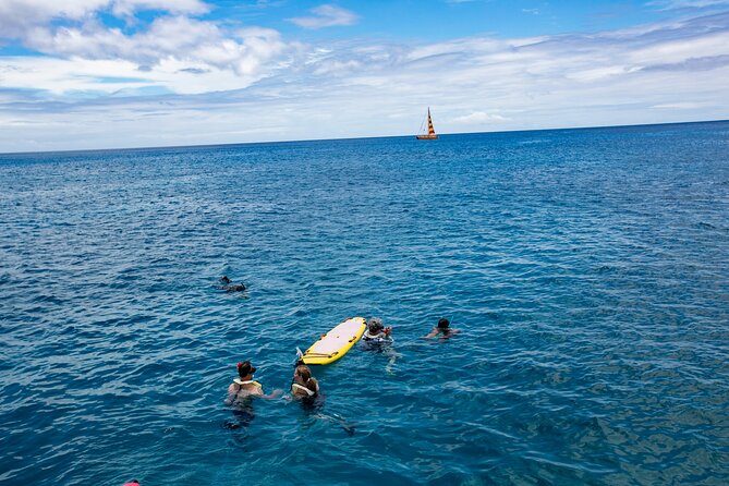 Hilton Hawaiian Village Turtle Snorkel with Optional Lunch - Scenic cruising stops: Diamond Head, Waikiki Beach, and Queen’s Beach