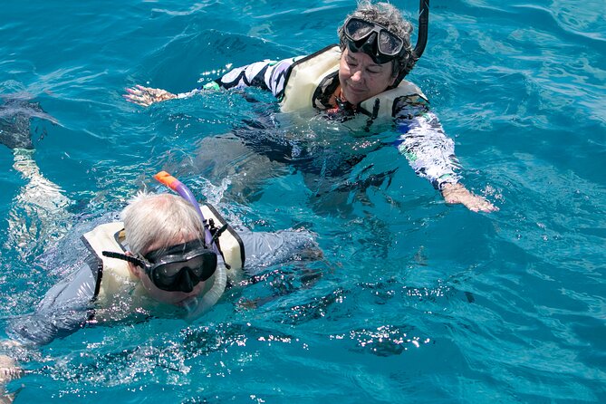 Hilton Hawaiian Village Turtle Snorkel with Optional Lunch - Group size and departure timing: early often feels better