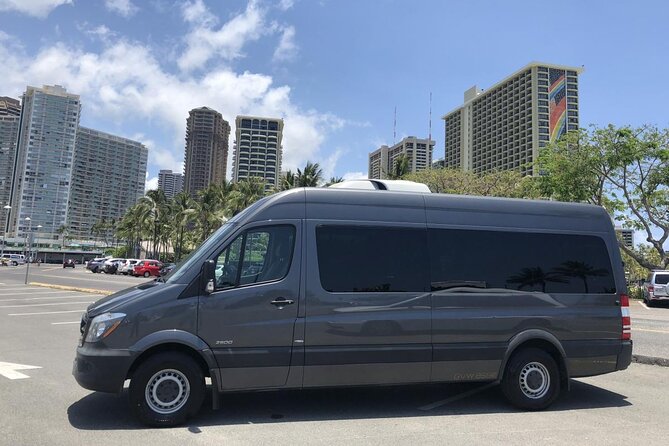 HNL Airport & Waikiki Private Transfer by Brand New Mercedes Van - Orchid Lei Greeting Service: A Small Upgrade with Big Memory Potential