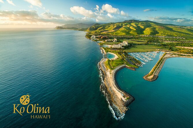 Honolulu Airport & Ko Olina Hotels Private Transfer by Minivan (up to 5 people) - Arriving in Honolulu: Baggage Claim, Aloha, and Getting Moving