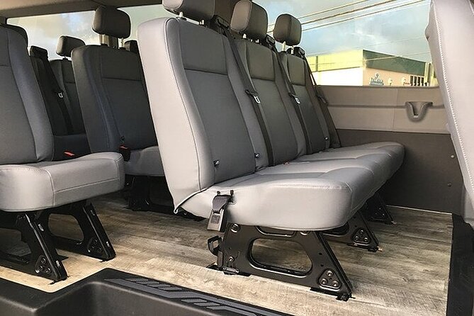 Honolulu Airport & Waikiki Hotels Private Transfer by Passenger Van(up to 14ppl) - Riding in a 14-person Mercedes van: comfort, space, and safety