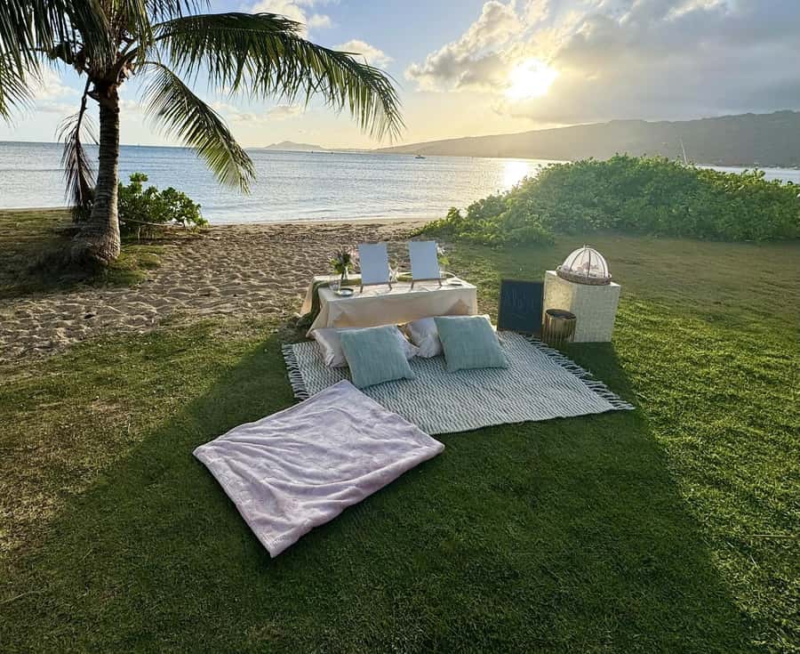 Honolulu: Beachside Luxury Picnic & Paint - Key things you’ll notice right away