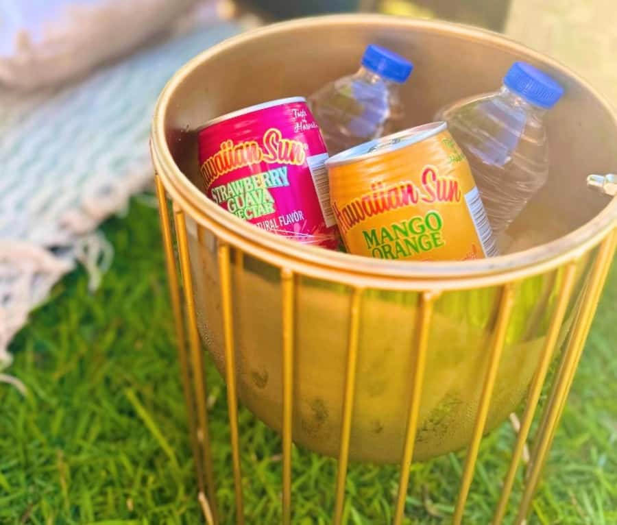 Honolulu: Beachside Luxury Picnic & Paint - Why a beachside painting picnic beats the usual Honolulu plan