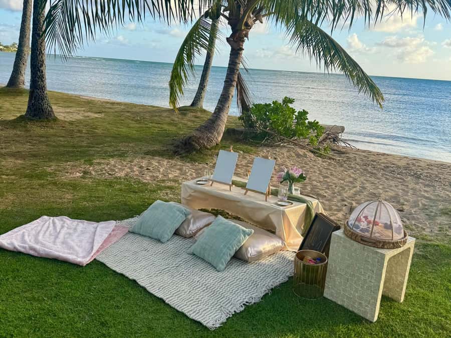 Honolulu: Beachside Luxury Picnic & Paint - Erica’s teaching style: art help that doesn’t talk down to you