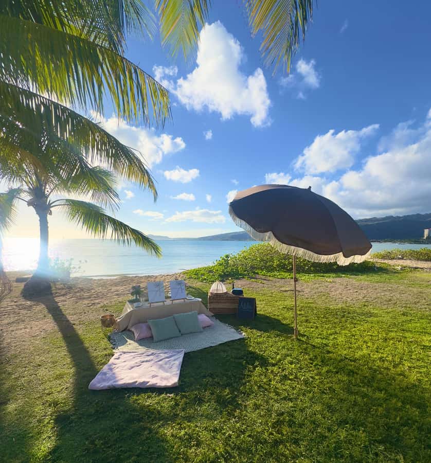 Honolulu: Beachside Luxury Picnic & Paint - Canvas choices, supplies, and what you bring home
